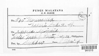 Lembosia bakeri image